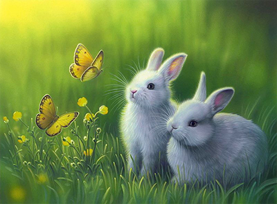 two rabbits standing on grass looking at two butterflies